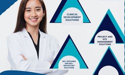Clinical Development: Navigating the Path to Medical Breakthroughs