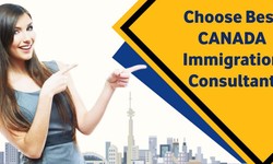 How To Choose The Best Immigration Consultant In Jalandhar For Canada?