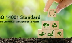 Understand the Procedure and the Process of the ISO 14001 Environment Management System