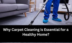 Why Carpet Cleaning is Essential for a Healthy Home: Insights from Gold Coast Professionals?