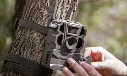 Art of Trail Camera Placement: Strategies for Success