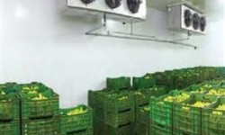 cold storage machinery manufacturers in india