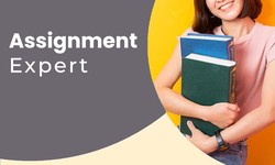 Assignment Help Online: Your Pathway to Academic Success
