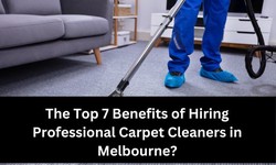 The Top 7 Benefits of Hiring Professional Carpet Cleaners in Melbourne