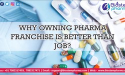 Why owning Pharma Franchise is better than Job?