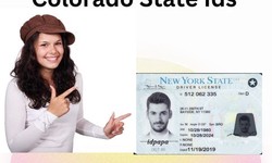 Colorado ID: Your Gateway to the Centennial State