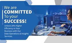 We are committed To your success with Data Operations & Insights Services