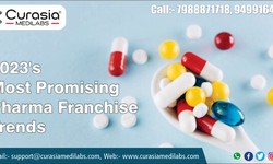 PROMISING GROWTH OF PHARMA FRANCHISE BUSINESS IN INDIA