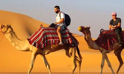 Unearth the Magic of Abu Dhabi Camel Ride: Cost, Timing, and Fascinating Facts