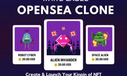 Opensea clone script  To Create Buy / Sell NFT Platform