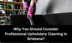 Why You Should Consider Professional Upholstery Cleaning in Brisbane?