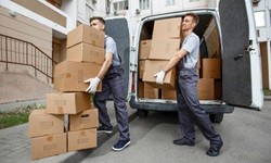 The Best Junk Removals: Trust The Junky Boys for Expert Service