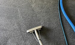 Should we hire a Professional Carpet Cleaner?