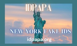 New York Fake Ids characteristics and uses in USA
