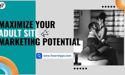 Maximize Your Adult Site Marketing Potential