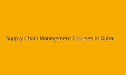 Mastering the Art of Logistics: How a Supply Chain Management Course Elevates Your Skills