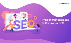 Transform Your SEO Projects with Our Leading-Edge SEO Management Tool