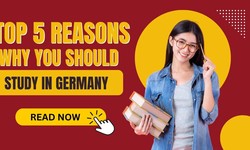 Top 5 Reasons Why You Should Study in Germany