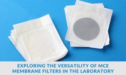 Filtering Out the Best: Exploring the Versatility of MCE Membrane Filters in the Laboratory