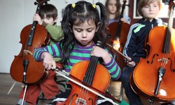 Embark on a Melodic Journey with Violin Lessons