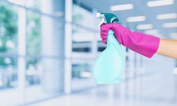Mold Cleaning Brisbane: Your Trusted Handyman
