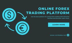 HF Markets: is at the pinnacle of CFD trading and Forex trading excellence