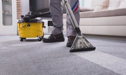 The Ultimate Guide to Tackling Carpet Stains: Expert Tips from Melbourne's Finest