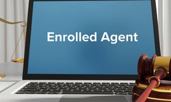 How To Prepare For The Enrolled Agent Course