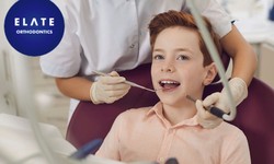 Dental Bridges Are Produced from Molds