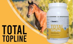 Buy Supplement for Topline for Horses Online