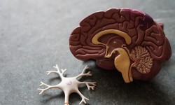 Can Traumatic Brain Injuries Be Prevented? If So, How?