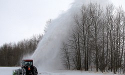 Do You Need to Buy a Snow Blower?