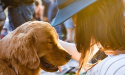 What steps are involved in obtaining a psychiatric service dog in Colorado?