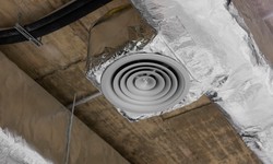 Protect Your Home or Office: Professional Vent Cleaning Services