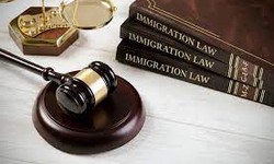 "UK Immigration Excellence: Legal Professionals"