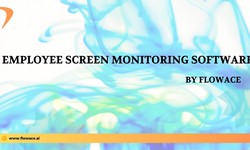 Employee Screen Monitoring Software: A Delicate Balance of Productivity and Data Security