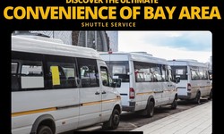 Discover the Ultimate Convenience of Bay Area Shuttle Service