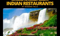 Exploring the Culinary Delights: Indian Restaurants at Niagara Falls