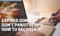 Expired Domain? Don't Panic! Here's How to Recover It