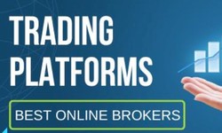Finding Your Best Broker for Forex Trading