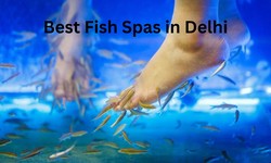Spa in Delhi NCR