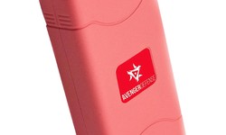 Women's Safety Empowered: The Taser Gun Solution