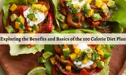 Exploring the Benefits and Basics of the 500 Calorie Diet Plan