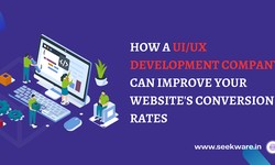 How a UI/UX Development Company Can Improve Your Website's Conversion Rates