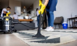 The Importance of Professional Carpet Cleaning in Carroll County