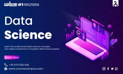 Data Types Used in Data Science