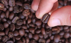 How to Buy Coffee Beans Online Without Breaking the Bank