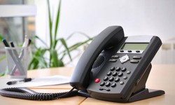 What Features Should You Look for in a Business Phone Plan?