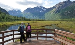 What Is the Best Time to Go on an Alaska Group Tour?