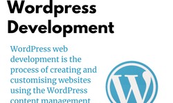 Wordpress Web Development ?Create User friendly Website with Wordpress Development